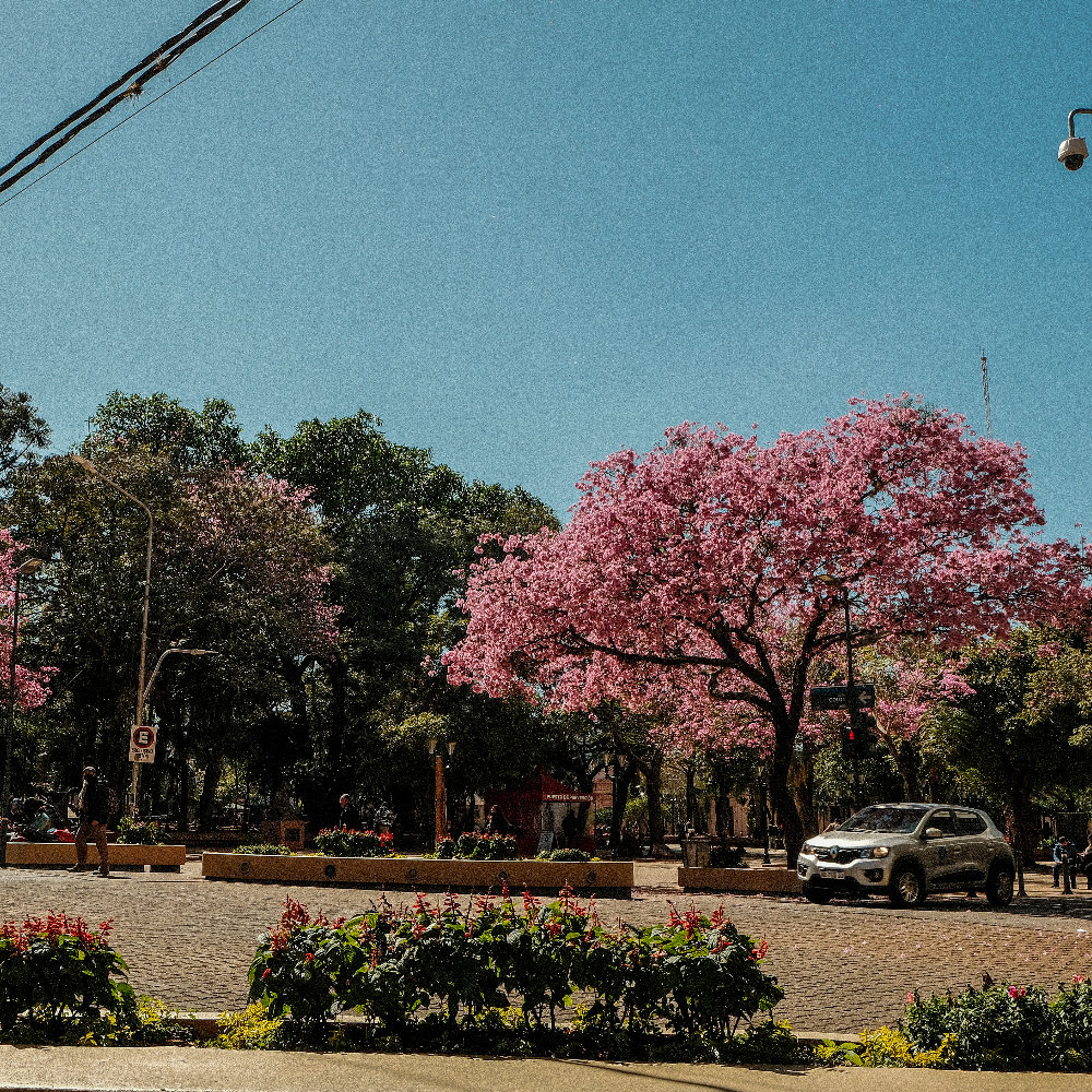 Centro