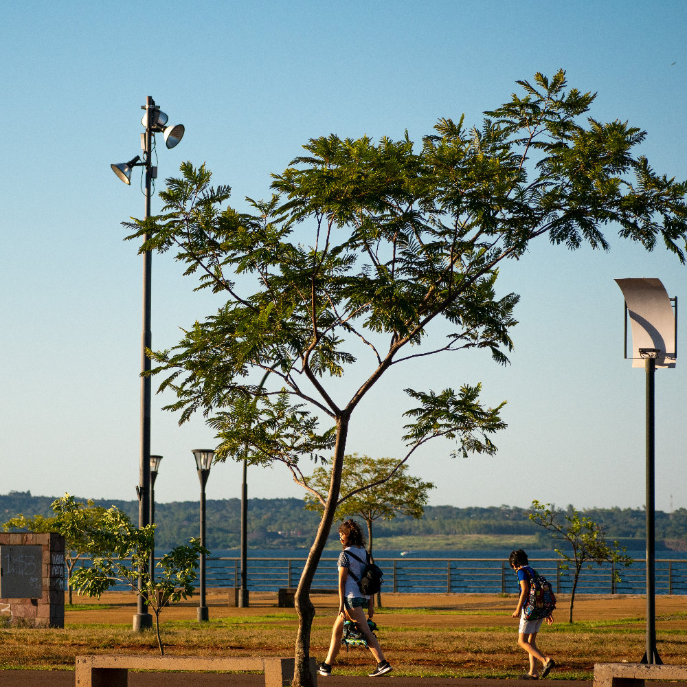 Costanera