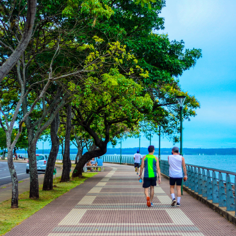 Costanera