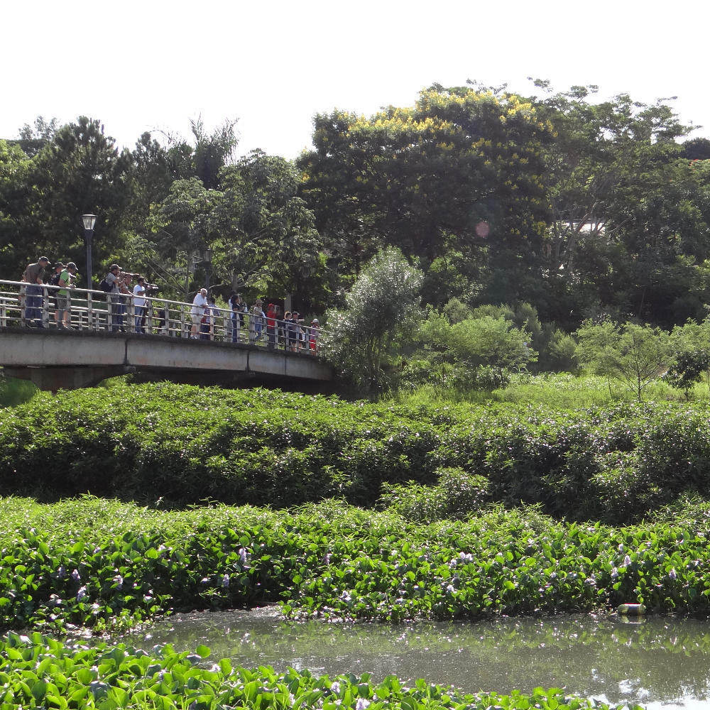 PASEO NATURALEZA
