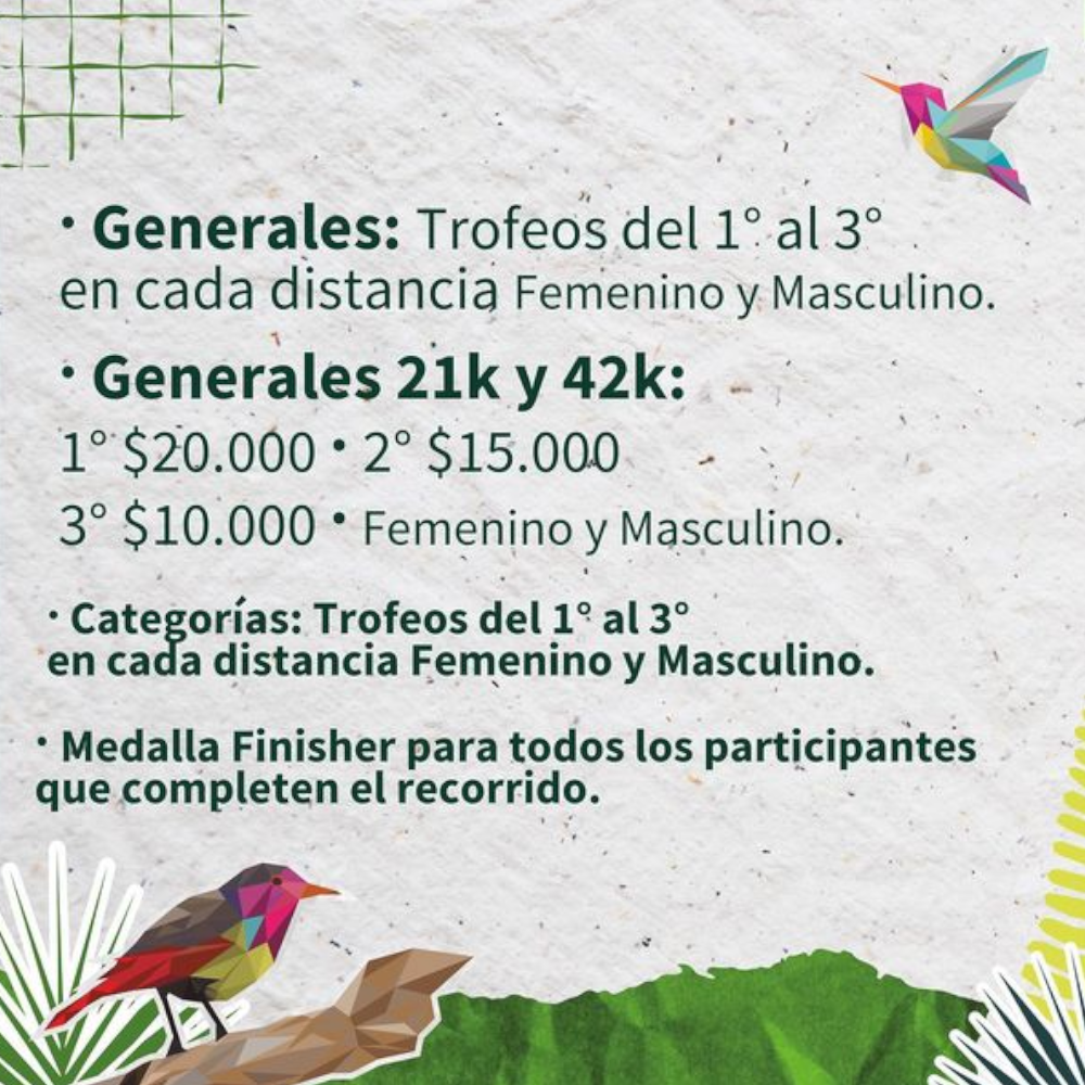 MARATÓN POSADAS FUTURA